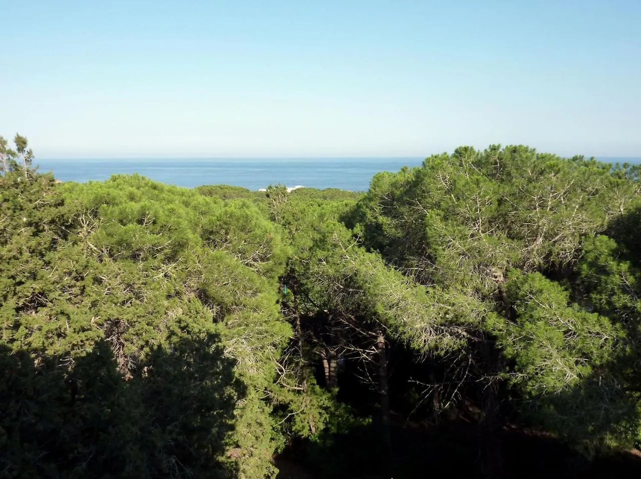 La Bouganville Apartments Cala Gonone